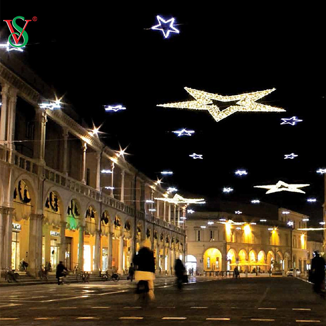 La conception adaptée aux besoins du client a animé les lumières de flocon de neige de LED 2D pour la décoration de Noël