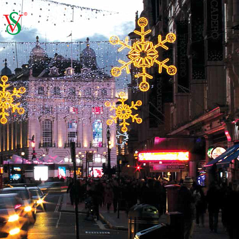 La conception adaptée aux besoins du client a animé les lumières de flocon de neige de LED 2D pour la décoration de Noël