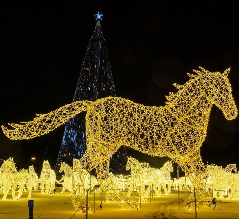 Sculpture de cheval animal éclairé 3D avec lumière des cordes pour le zoo jardin parc décoration extérieure