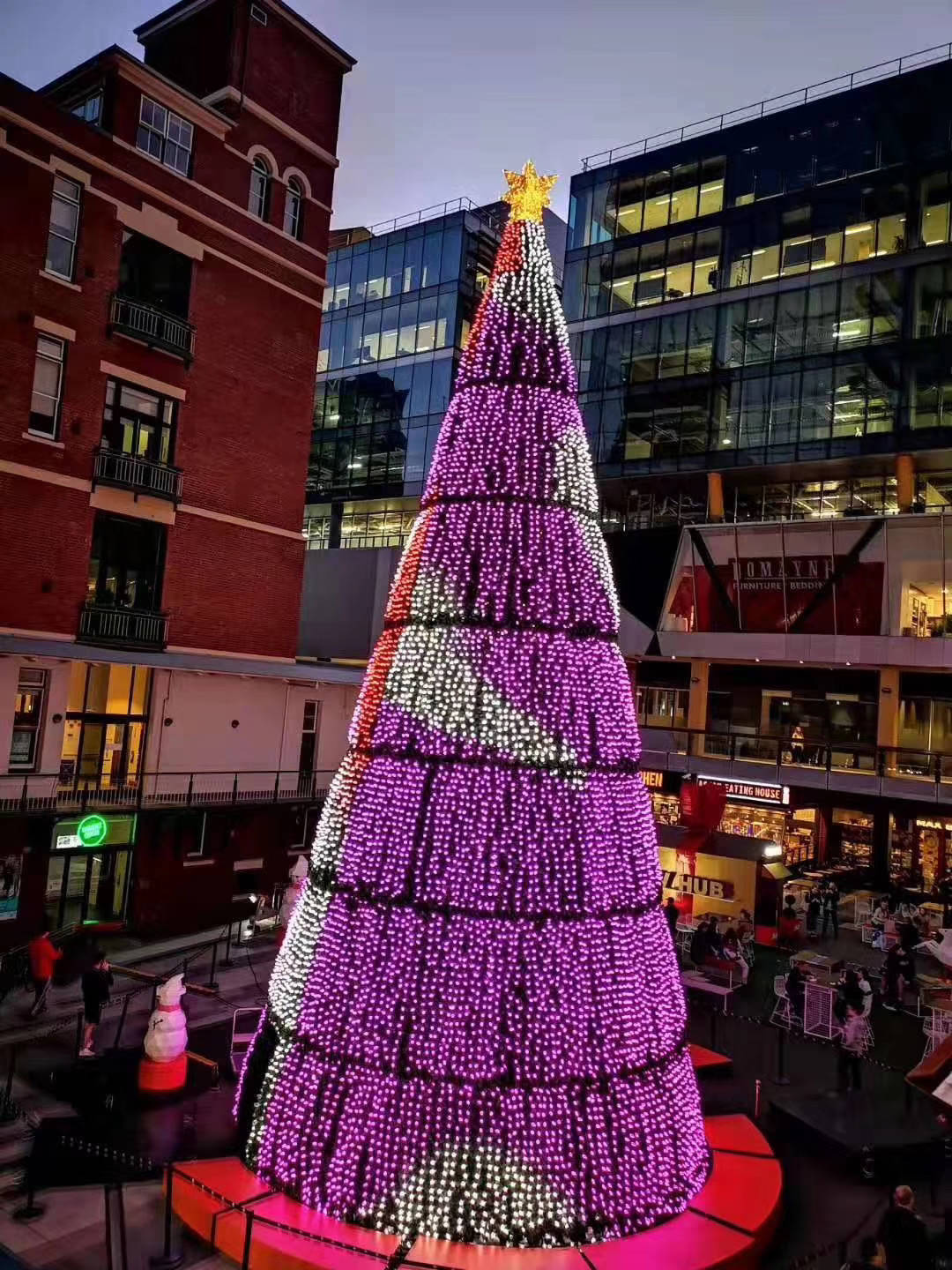 La guirlande programmable de pixels de DC12V WS2811 d'intense luminosité a mené des lumières d'arbre de Noël de RVB